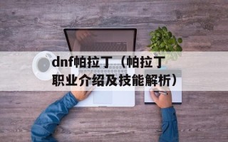 dnf帕拉丁（帕拉丁职业介绍及技能解析）