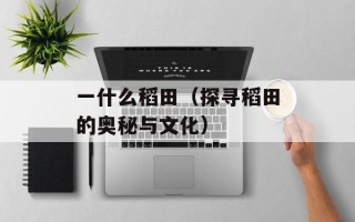 一什么稻田（探寻稻田的奥秘与文化）