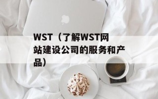 WST（了解WST网站建设公司的服务和产品）