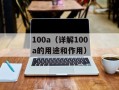100a（详解100a的用途和作用）