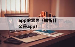 app啥意思（解析什么是app）