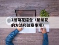 1插菊花综合（插菊花的方法和注意事项）