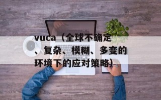 vuca（全球不确定、复杂、模糊、多变的环境下的应对策略）