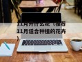 11月开什么花（推荐11月适合种植的花卉）