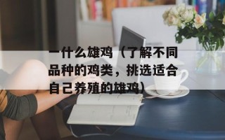 一什么雄鸡（了解不同品种的鸡类，挑选适合自己养殖的雄鸡）