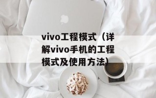 vivo工程模式（详解vivo手机的工程模式及使用方法）