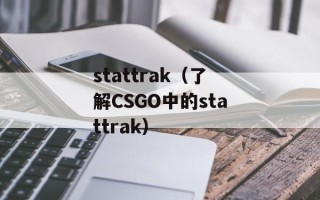 stattrak（了解CSGO中的stattrak）