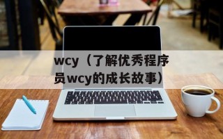 wcy（了解优秀程序员wcy的成长故事）