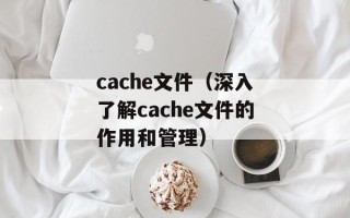cache文件（深入了解cache文件的作用和管理）