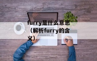 furry是什么意思（解析furry的含义）