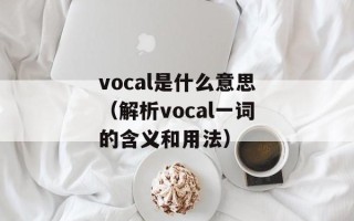 vocal是什么意思（解析vocal一词的含义和用法）