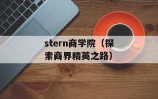 stern商学院（探索商界精英之路）
