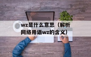 wz是什么意思（解析网络用语wz的含义）
