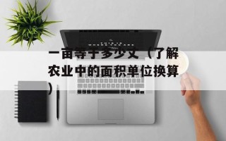 一亩等于多少丈（了解农业中的面积单位换算）