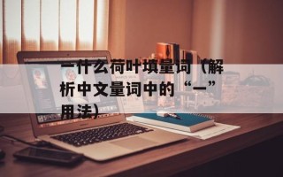 一什么荷叶填量词（解析中文量词中的“一”用法）