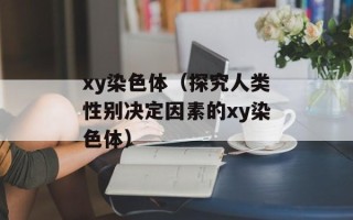 xy染色体（探究人类性别决定因素的xy染色体）