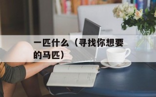 一匹什么（寻找你想要的马匹）