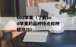 sod苹果（了解sod苹果的品种特点和种植技巧）