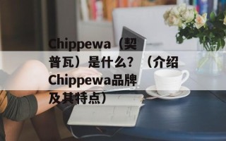 Chippewa（契普瓦）是什么？（介绍Chippewa品牌及其特点）
