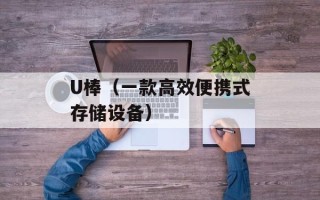 U棒（一款高效便携式存储设备）