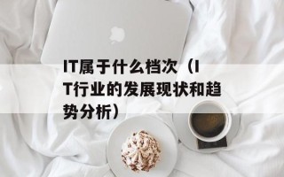 IT属于什么档次（IT行业的发展现状和趋势分析）