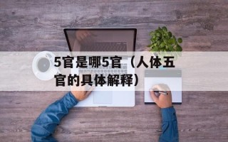 5官是哪5官（人体五官的具体解释）