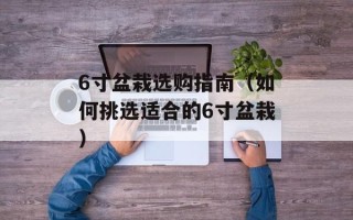 6寸盆栽选购指南（如何挑选适合的6寸盆栽）