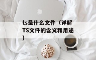 ts是什么文件（详解TS文件的含义和用途）