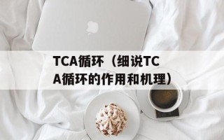 TCA循环（细说TCA循环的作用和机理）