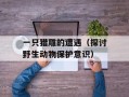 一只猎雕的遭遇（探讨野生动物保护意识）