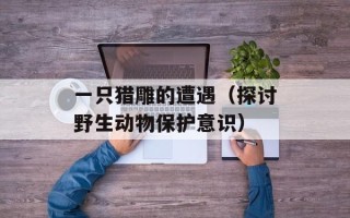 一只猎雕的遭遇（探讨野生动物保护意识）