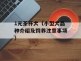 1元茶杯犬（小型犬品种介绍及饲养注意事项）
