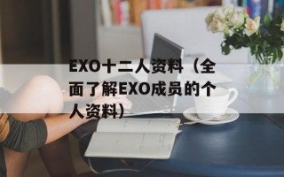 EXO十二人资料（全面了解EXO成员的个人资料）