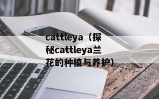 cattleya（探秘cattleya兰花的种植与养护）