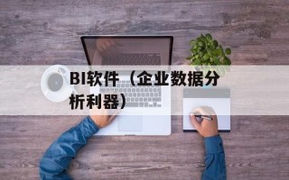 BI软件（企业数据分析利器）