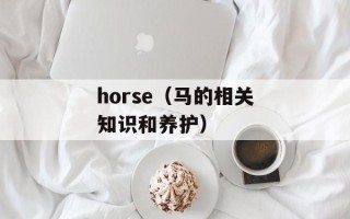horse（马的相关知识和养护）