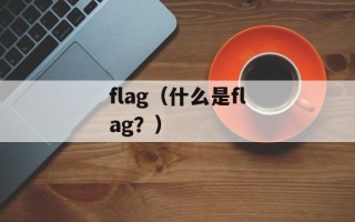 flag（什么是flag？）