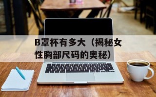 B罩杯有多大（揭秘女性胸部尺码的奥秘）