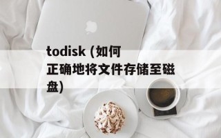 todisk (如何正确地将文件存储至磁盘)