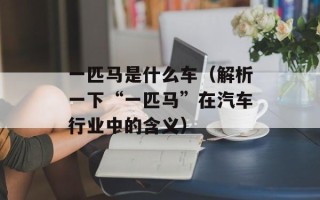 一匹马是什么车（解析一下“一匹马”在汽车行业中的含义）