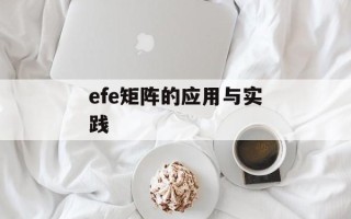 efe矩阵的应用与实践