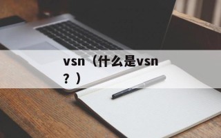 vsn（什么是vsn？）