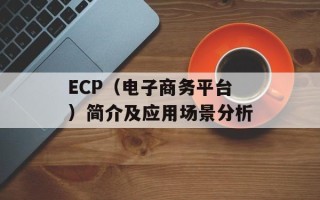 ECP（电子商务平台）简介及应用场景分析