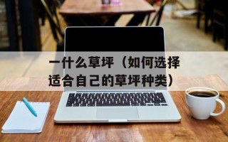 一什么草坪（如何选择适合自己的草坪种类）