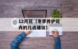 12月花（冬季养护花卉的几点建议）