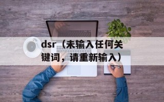dsr（未输入任何关键词，请重新输入）