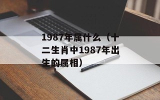 1987年属什么（十二生肖中1987年出生的属相）