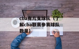 cba有几支球队（了解cba联赛参赛球队数量）