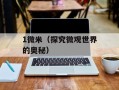 1微米（探究微观世界的奥秘）