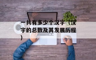 一共有多少个汉字（汉字的总数及其发展历程）